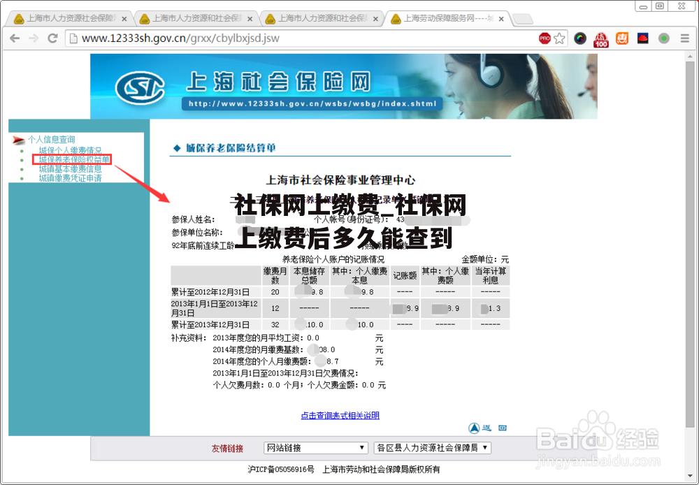 社保网上缴费_社保网上缴费后多久能查到