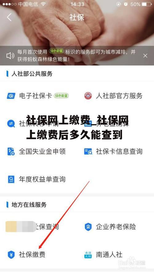 社保网上缴费_社保网上缴费后多久能查到