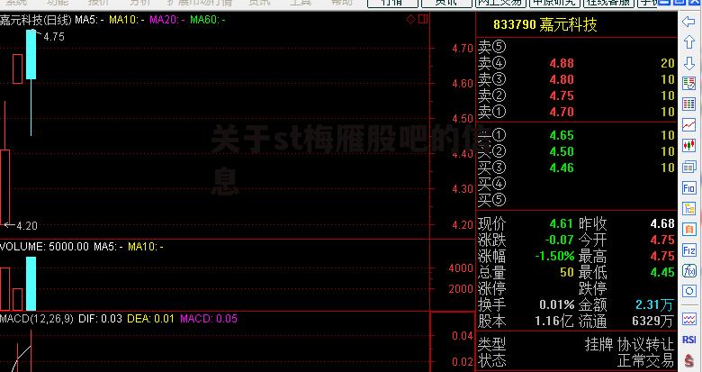 关于st梅雁股吧的信息