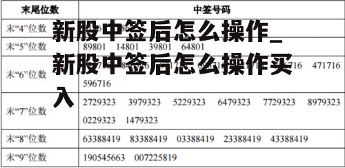 新股中签后怎么操作_新股中签后怎么操作买入