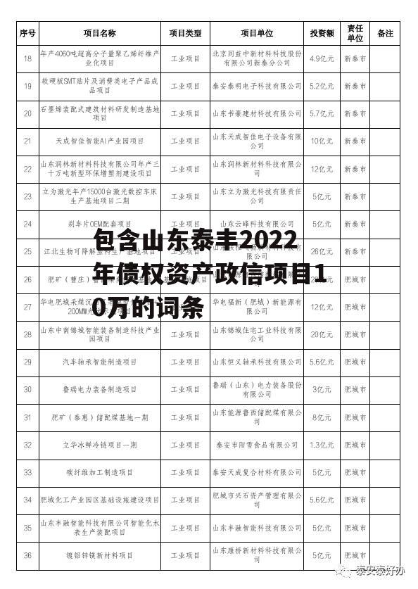 包含山东泰丰2022年债权资产政信项目10万的词条