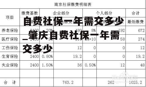 自费社保一年需交多少_肇庆自费社保一年需交多少