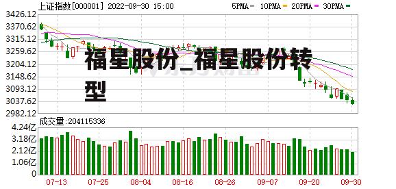 福星股份_福星股份转型