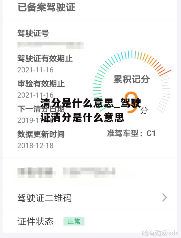 清分是什么意思_驾驶证清分是什么意思