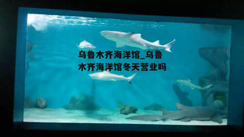 乌鲁木齐海洋馆_乌鲁木齐海洋馆冬天营业吗