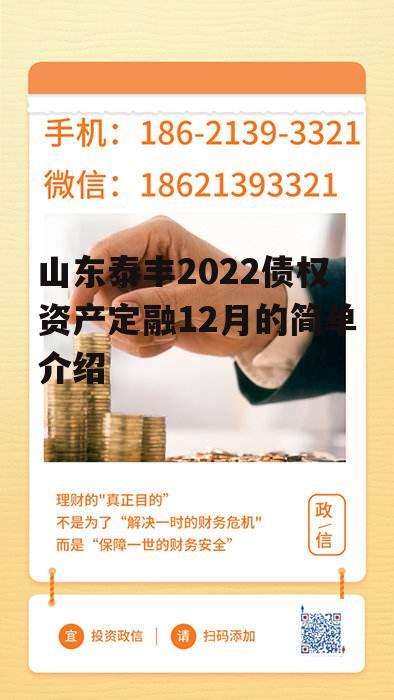 山东泰丰2022债权资产定融12月的简单介绍