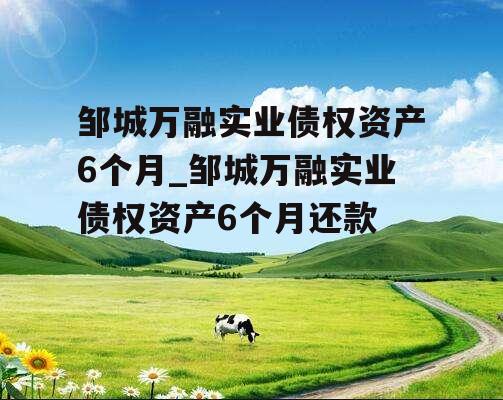 邹城万融实业债权资产6个月_邹城万融实业债权资产6个月还款