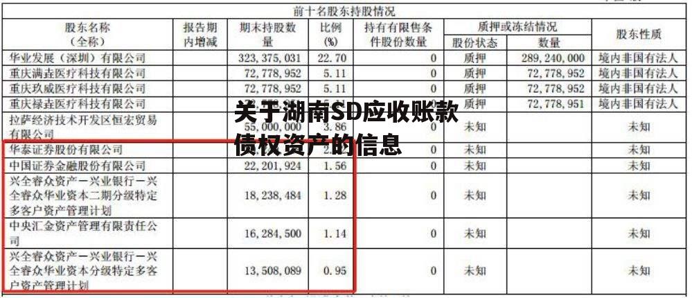 关于湖南SD应收账款债权资产的信息