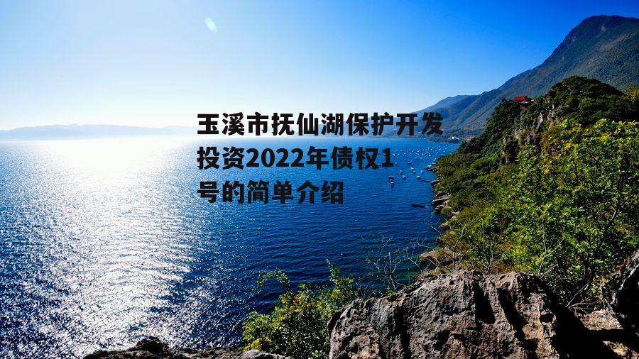 玉溪市抚仙湖保护开发投资2022年债权1号的简单介绍