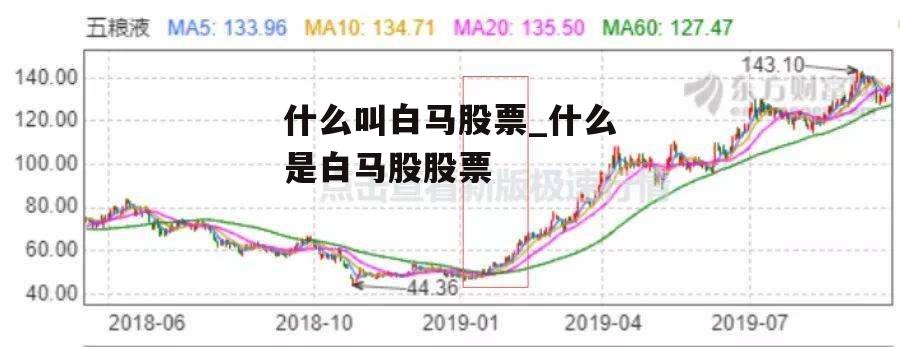 什么叫白马股票_什么是白马股股票