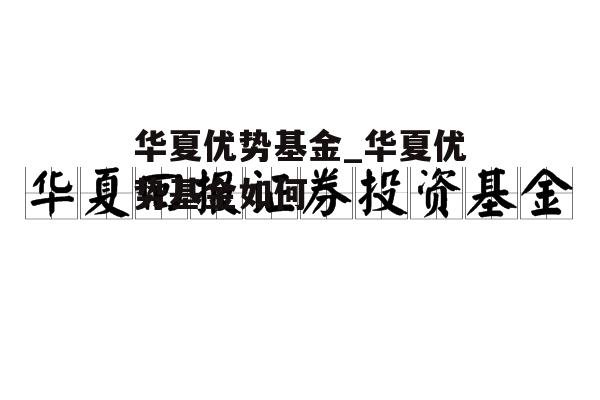 华夏优势基金_华夏优势基金如何