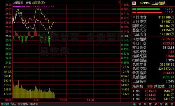 金鼎智赢_金鼎智赢交易软件