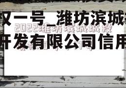 山东潍坊滨城投资政信债权一号_潍坊滨城投资开发有限公司信用评级