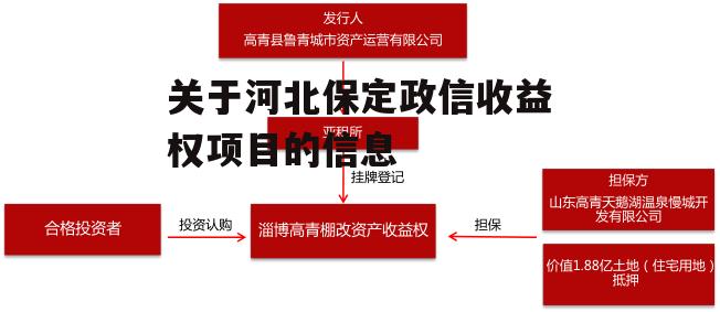 关于河北保定政信收益权项目的信息