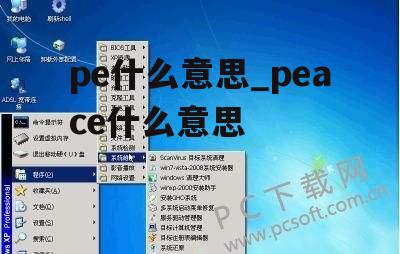 pe什么意思_peace什么意思