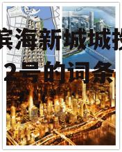 包含滨海新城城投债权1号、2号的词条