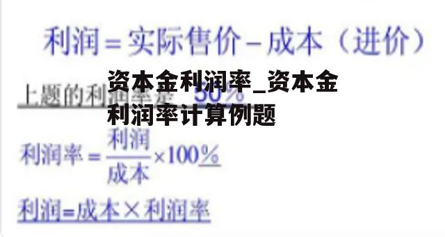 资本金利润率_资本金利润率计算例题