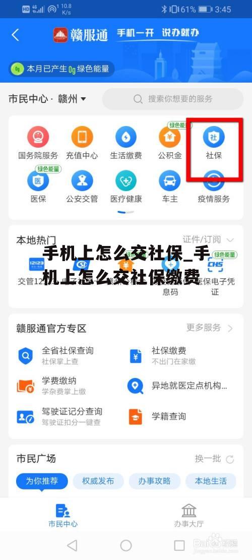 手机上怎么交社保_手机上怎么交社保缴费