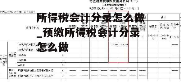 所得税会计分录怎么做_预缴所得税会计分录怎么做