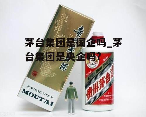 茅台集团是国企吗_茅台集团是央企吗?