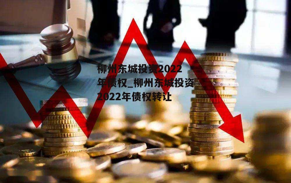 柳州东城投资2022年债权_柳州东城投资2022年债权转让