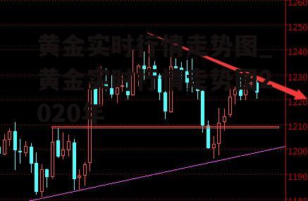 黄金实时行情走势图_黄金实时行情走势图2020年