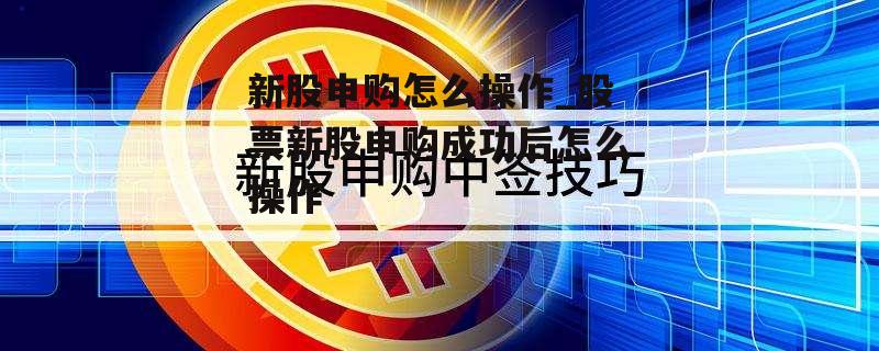 新股申购怎么操作_股票新股申购成功后怎么操作