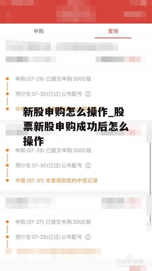 新股申购怎么操作_股票新股申购成功后怎么操作