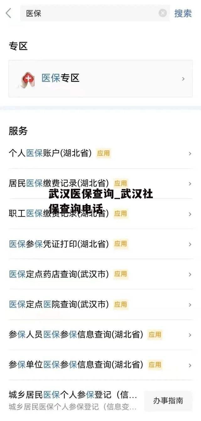 武汉医保查询_武汉社保查询电话