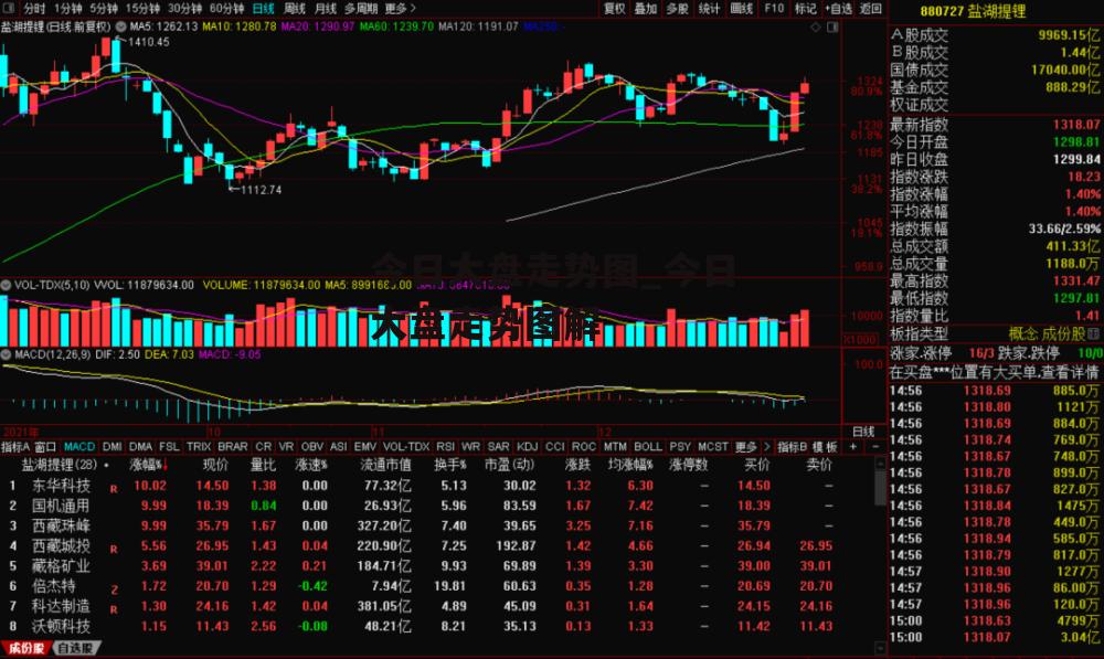 今日大盘走势图_今日大盘走势图解