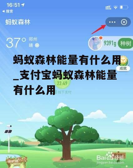 蚂蚁森林能量有什么用_支付宝蚂蚁森林能量有什么用