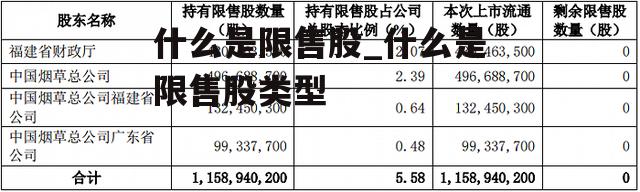 什么是限售股_什么是限售股类型