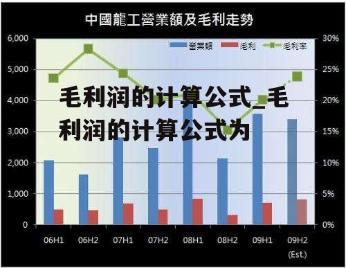 毛利润的计算公式_毛利润的计算公式为