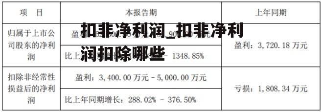 扣非净利润_扣非净利润扣除哪些