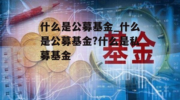 什么是公募基金_什么是公募基金?什么是私募基金