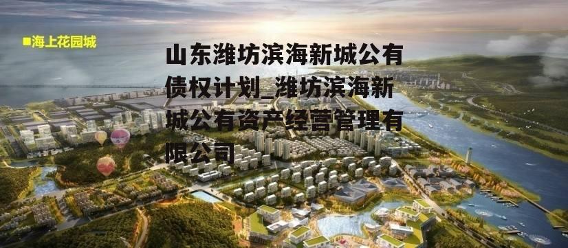 山东潍坊滨海新城公有债权计划_潍坊滨海新城公有资产经营管理有限公司