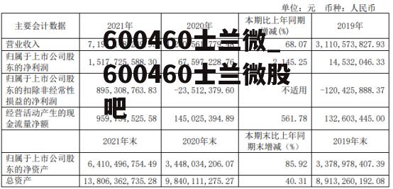 600460士兰微_600460士兰微股吧