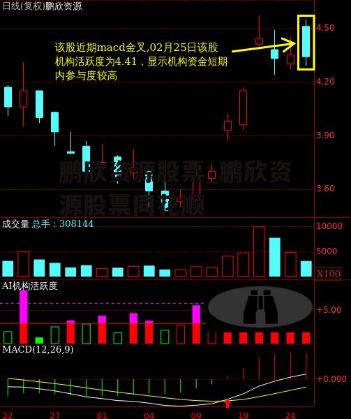 鹏欣资源股票_鹏欣资源股票同花顺