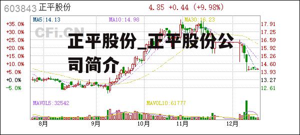 正平股份_正平股份公司简介