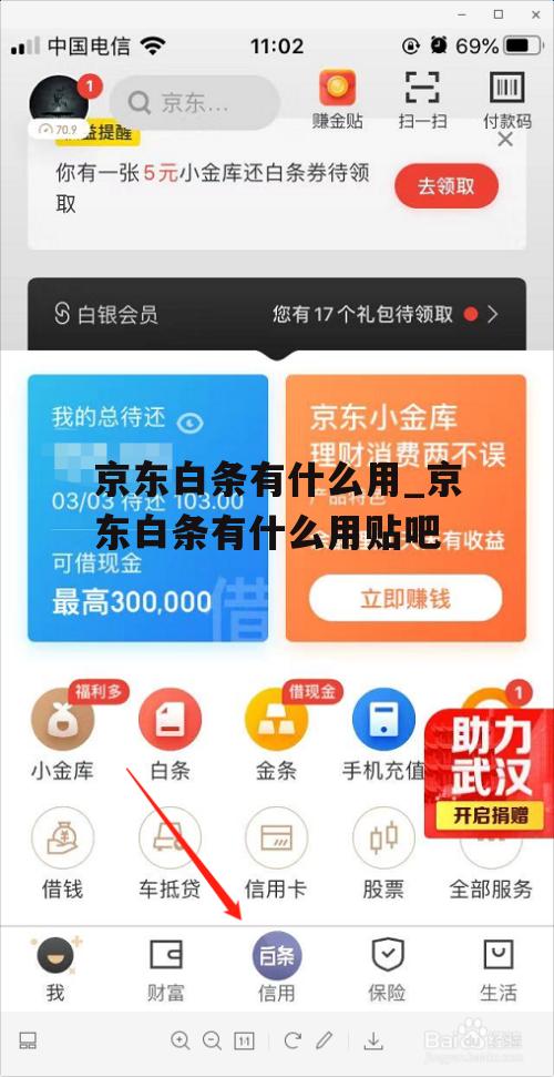 京东白条有什么用_京东白条有什么用贴吧