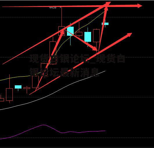 现货白银论坛_现货白银论坛最新消息