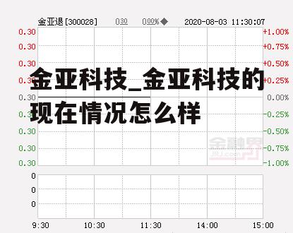 金亚科技_金亚科技的现在情况怎么样