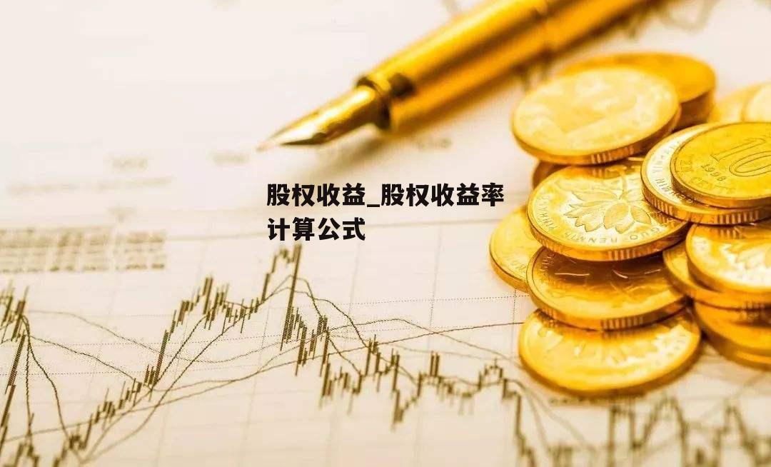 股权收益_股权收益率计算公式