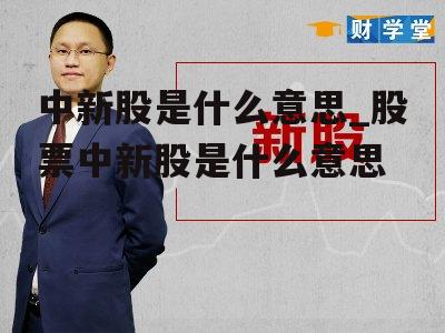 中新股是什么意思_股票中新股是什么意思