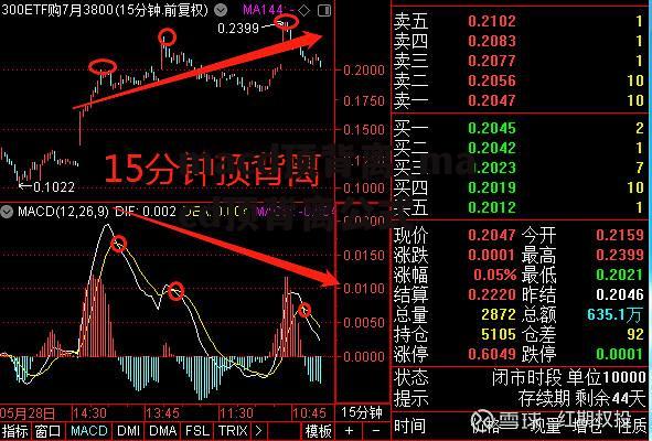 macd顶背离_macd顶背离公式