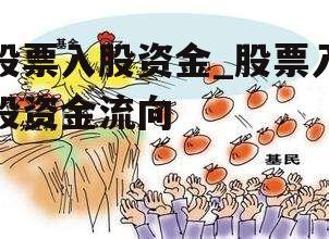 股票入股资金_股票入股资金流向