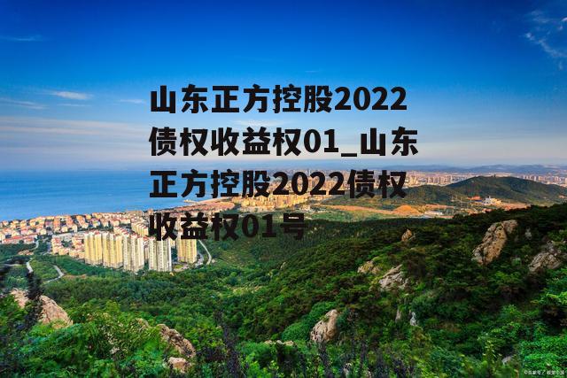 山东正方控股2022债权收益权01_山东正方控股2022债权收益权01号