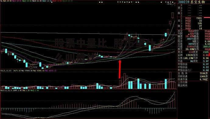 股票中量比_股市里什么叫量比