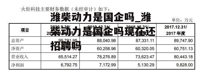 潍柴动力是国企吗_潍柴动力是国企吗现在还招聘吗