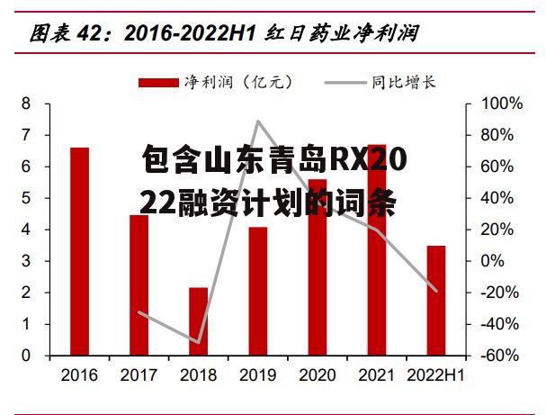 包含山东青岛RX2022融资计划的词条